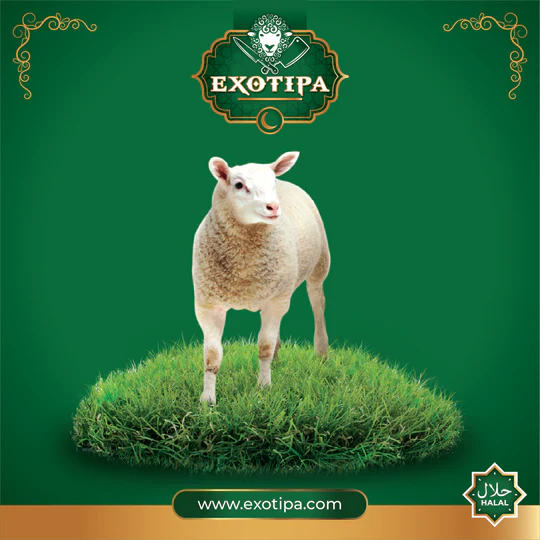 vis02 nature exotipa 07 316a32cd 9249 472c 9905 ab52c5d7cde4 540x